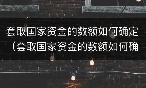 套取国家资金的数额如何确定（套取国家资金的数额如何确定）
