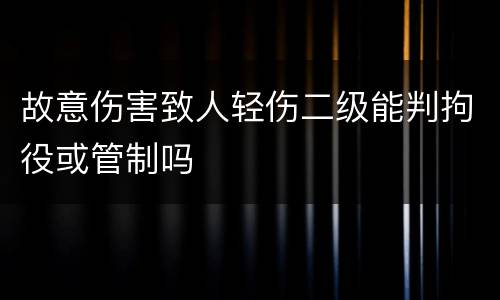 故意伤害致人轻伤二级能判拘役或管制吗