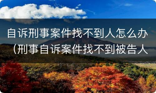 自诉刑事案件找不到人怎么办（刑事自诉案件找不到被告人）