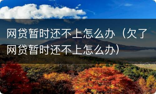 网贷暂时还不上怎么办（欠了网贷暂时还不上怎么办）