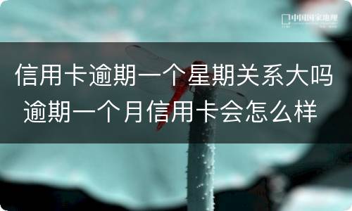 信用卡逾期一个星期关系大吗 逾期一个月信用卡会怎么样
