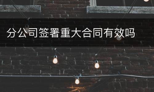 分公司签署重大合同有效吗