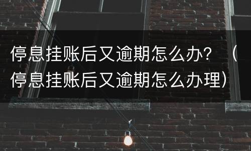 停息挂账后又逾期怎么办？（停息挂账后又逾期怎么办理）