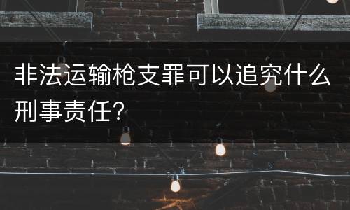 非法运输枪支罪可以追究什么刑事责任?