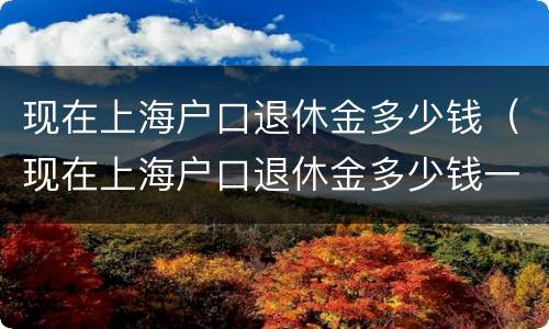 现在上海户口退休金多少钱（现在上海户口退休金多少钱一年）