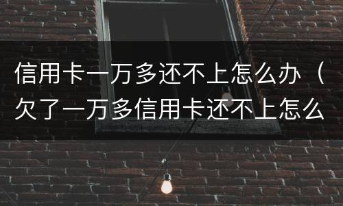 信用卡一万多还不上怎么办（欠了一万多信用卡还不上怎么办）