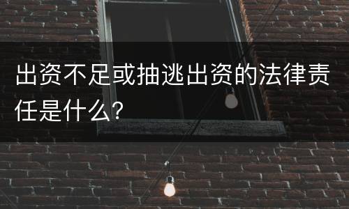 出资不足或抽逃出资的法律责任是什么？