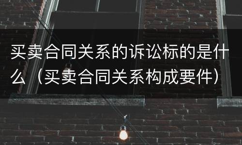 买卖合同关系的诉讼标的是什么（买卖合同关系构成要件）