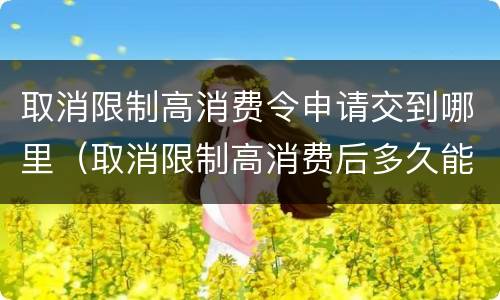 取消限制高消费令申请交到哪里（取消限制高消费后多久能生效）