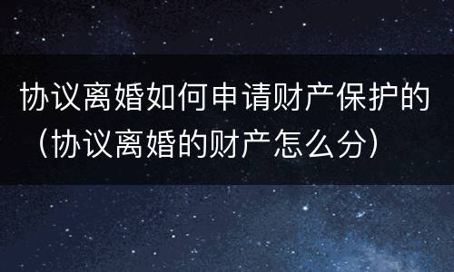 协议离婚如何申请财产保护的（协议离婚的财产怎么分）