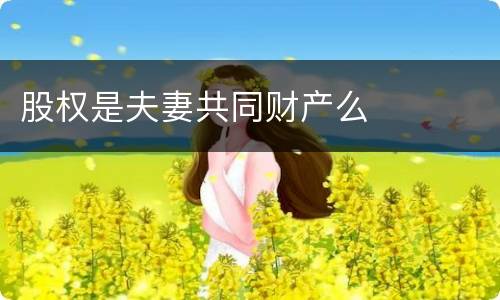 股权是夫妻共同财产么