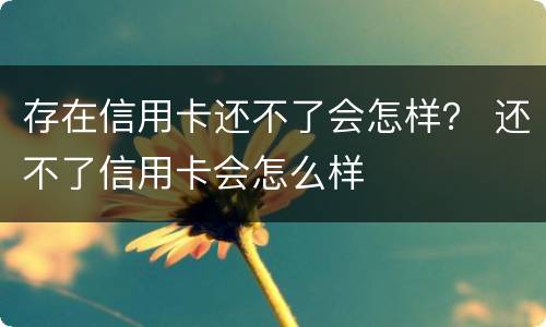 存在信用卡还不了会怎样？ 还不了信用卡会怎么样