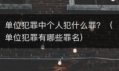 单位犯罪中个人犯什么罪？（单位犯罪有哪些罪名）