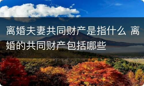 离婚夫妻共同财产是指什么 离婚的共同财产包括哪些