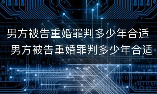 男方被告重婚罪判多少年合适 男方被告重婚罪判多少年合适离婚