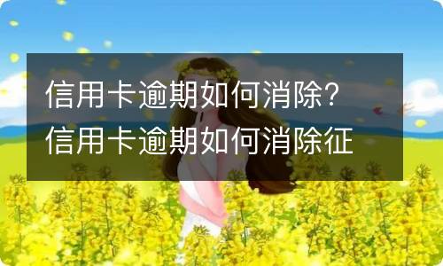 信用卡逾期被起诉怎么办?（疫情期间信用卡逾期被起诉怎么办）
