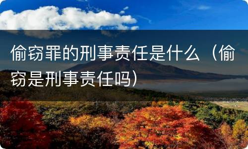偷窃罪的刑事责任是什么（偷窃是刑事责任吗）