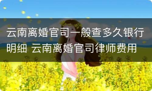 云南离婚官司一般查多久银行明细 云南离婚官司律师费用