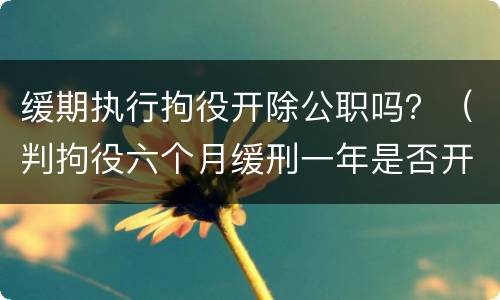 缓期执行拘役开除公职吗？（判拘役六个月缓刑一年是否开除公职）