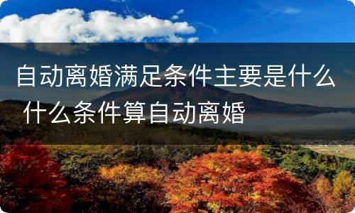 自动离婚满足条件主要是什么 什么条件算自动离婚