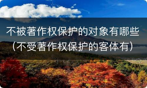 不被著作权保护的对象有哪些（不受著作权保护的客体有）