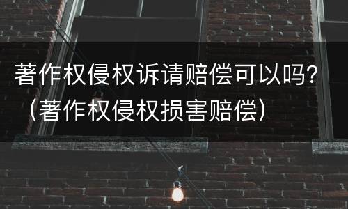 著作权侵权诉请赔偿可以吗？（著作权侵权损害赔偿）