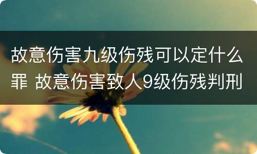 故意伤害九级伤残可以定什么罪 故意伤害致人9级伤残判刑