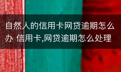 自然人的信用卡网贷逾期怎么办 信用卡,网贷逾期怎么处理方法