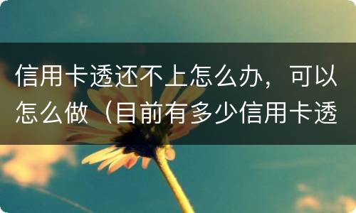 信用卡透还不上怎么办，可以怎么做（目前有多少信用卡透还不上的）