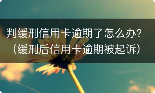 判缓刑信用卡逾期了怎么办？（缓刑后信用卡逾期被起诉）