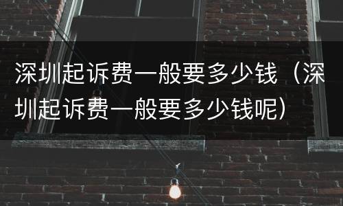 深圳起诉费一般要多少钱（深圳起诉费一般要多少钱呢）