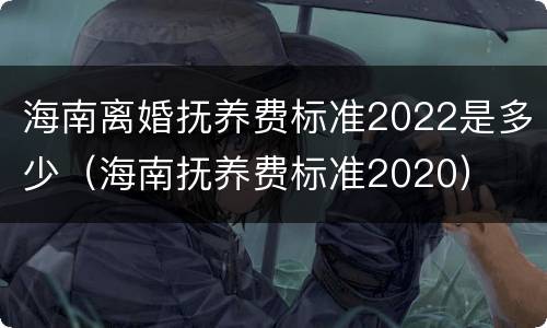 海南离婚抚养费标准2022是多少（海南抚养费标准2020）
