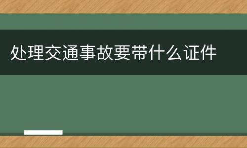 处理交通事故要带什么证件