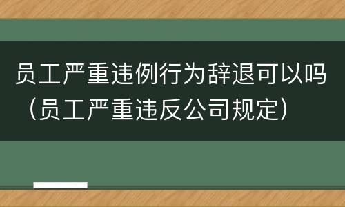 员工严重违例行为辞退可以吗（员工严重违反公司规定）