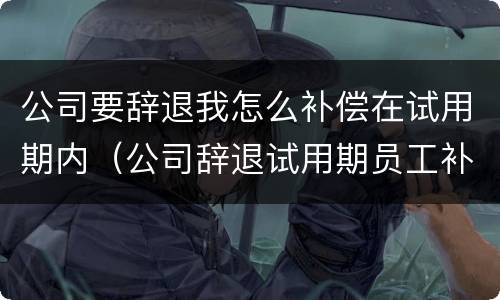 公司要辞退我怎么补偿在试用期内（公司辞退试用期员工补偿标准2021怎么算）