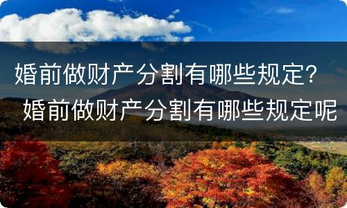 婚前做财产分割有哪些规定？ 婚前做财产分割有哪些规定呢