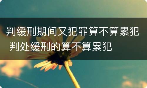 判缓刑期间又犯罪算不算累犯 判处缓刑的算不算累犯