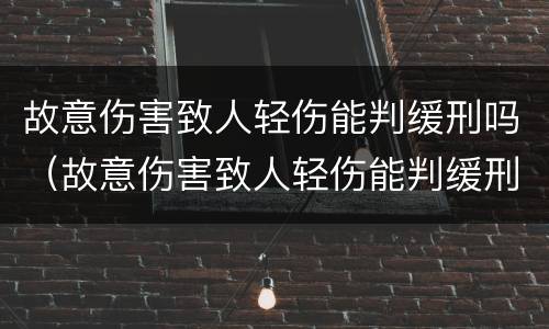 故意伤害致人轻伤能判缓刑吗（故意伤害致人轻伤能判缓刑吗判几年）