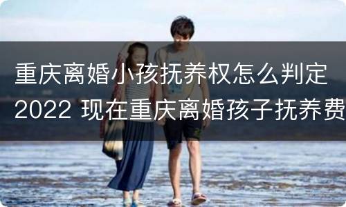 重庆离婚小孩抚养权怎么判定2022 现在重庆离婚孩子抚养费一般多少钱
