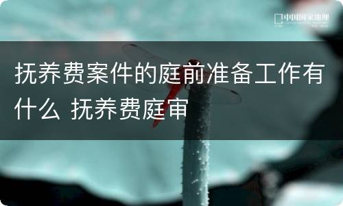 抚养费案件的庭前准备工作有什么 抚养费庭审