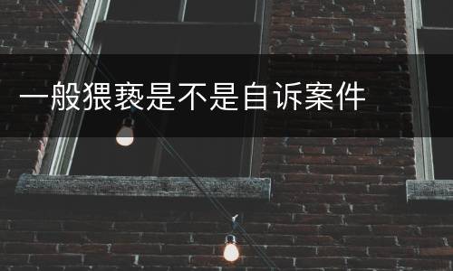 一般猥亵是不是自诉案件