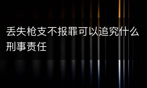 丢失枪支不报罪可以追究什么刑事责任