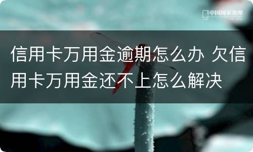 信用卡万用金逾期怎么办 欠信用卡万用金还不上怎么解决