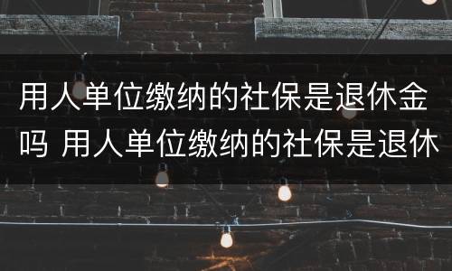 用人单位缴纳的社保是退休金吗 用人单位缴纳的社保是退休金吗