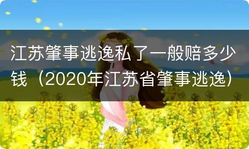 江苏肇事逃逸私了一般赔多少钱（2020年江苏省肇事逃逸）