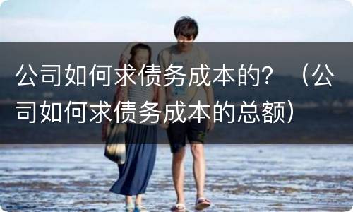 公司如何求债务成本的？（公司如何求债务成本的总额）