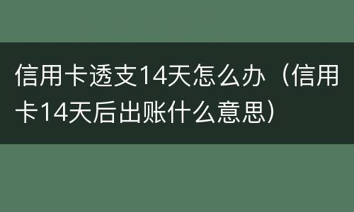 信用卡透支14天怎么办（信用卡14天后出账什么意思）