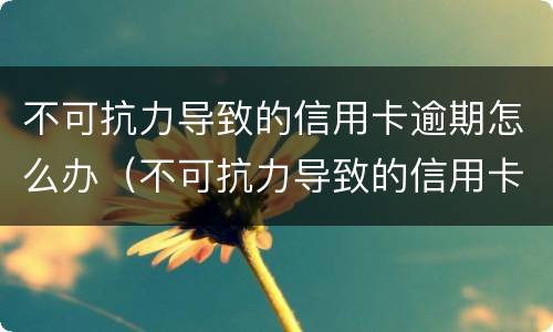 不可抗力导致的信用卡逾期怎么办（不可抗力导致的信用卡逾期怎么办呢）
