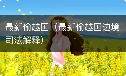 最新偷越国（最新偷越国边境司法解释）
