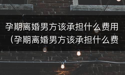 孕期离婚男方该承担什么费用（孕期离婚男方该承担什么费用呢）